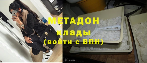прущие грибы Заволжье