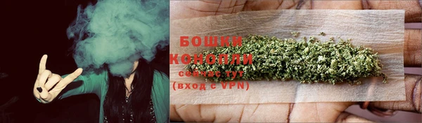 прущие грибы Заволжье