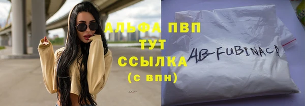 прущие грибы Заволжье