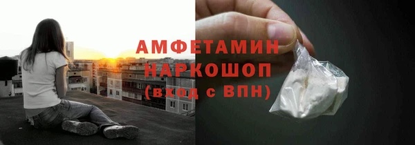прущие грибы Заволжье