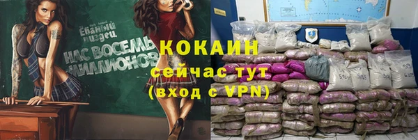 прущие грибы Заволжье